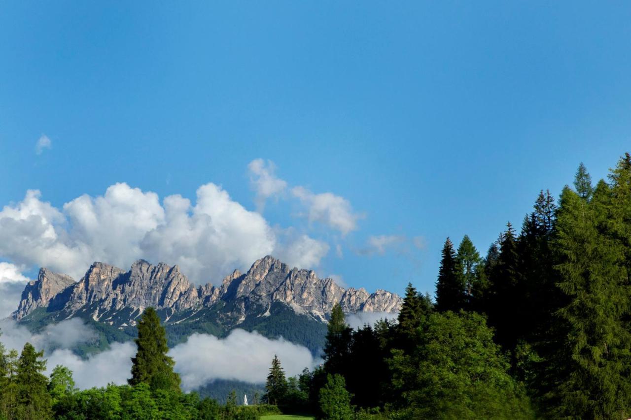 Chalet Del Capriolo Villa Vodo Cadore Exterior photo